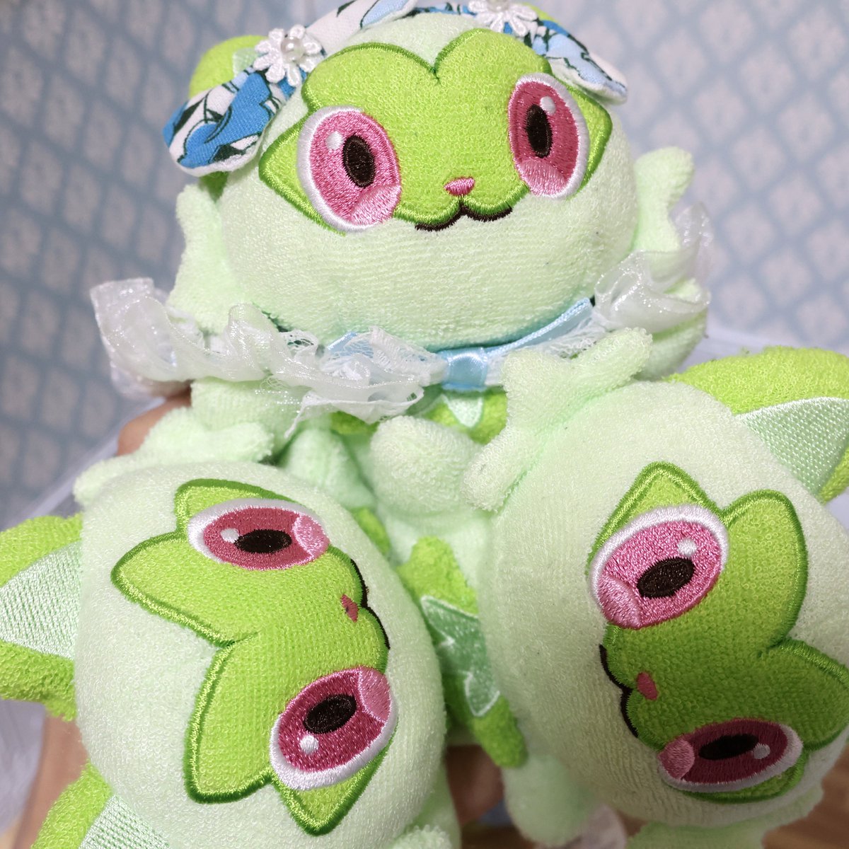 itsumono_ashita's tweet photo. かわいい　ニャオハが　てんこもり🎶 https://t.co/3MJGDzFZoi