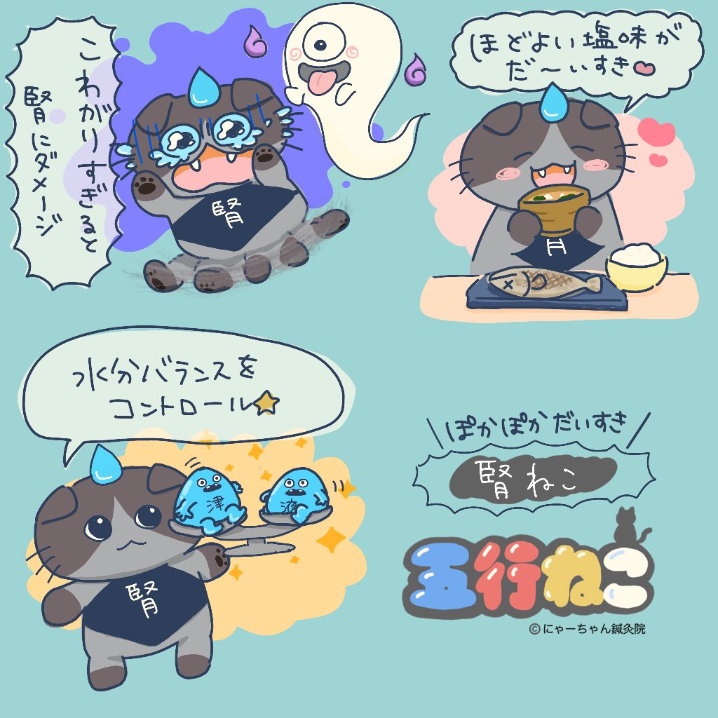 acupuncturenya's tweet photo. 🖤腎ねこプロフィール
生命力・成長・水分代謝担当

【東洋医学ポイント】

・恐怖に弱い😱👻
➡️足腰の冷え、頻尿、気力が低下する⤵︎⤵︎

・しょっぱいものが腎を養う
➡️ほどよい塩味が好き🧂

・精（せい）を蓄え水分調整
➡️水分バランスを調える🚰

#にゃーちゃん鍼灸院
#東洋医学
#五行ねこ https://t.co/uk4A7M00RL