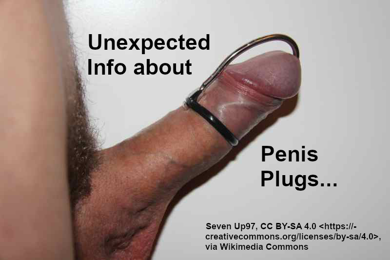 prowank25's tweet photo. Discover unexpected information about #penis plugs at https://t.co/3G7kfBiKoE (#penisPlug, #urethral, #urethra, #urethralPlug, #cockStuffing, #sounding, #cumStopper #peehole, #peeholeStretching) https://t.co/tIjDAmmGhQ