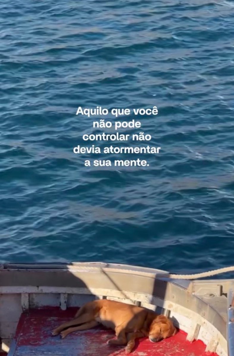 soulembrancas's tweet photo. https://t.co/5EmcGzp8SF