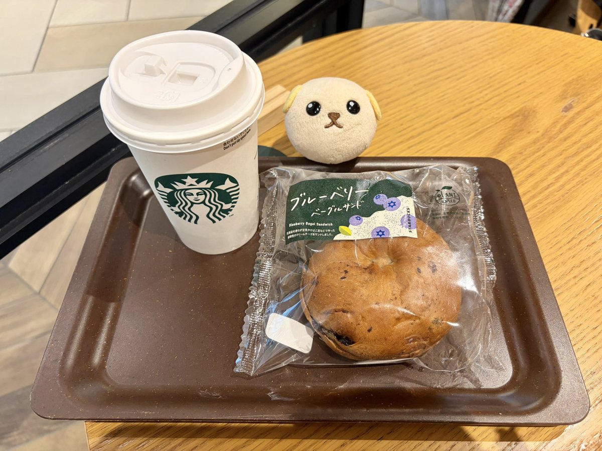 mainichimame's tweet photo. コーヒーにがい
#まいにち豆しば
#豆しば https://t.co/c0WNc0aZOI