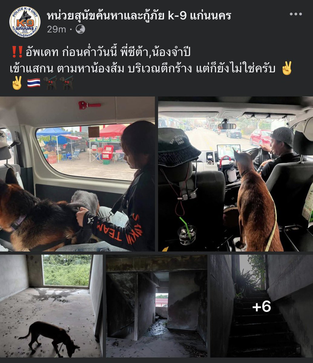 KhaohomSiri's tweet photo. ถึงวันนี้จะยังหาน้องสีส้มไม่เจอ แต่ น้องทราเวล น้องซีต้าร์ น้องจำปี เก่งมากๆเลยนะ พรุ่งนี้หากันใหม่ เป็นกำลังใจให้นะ 

#แมวหายบนรถไฟ #ส้มส้ม https://t.co/ru9n4MJPcs