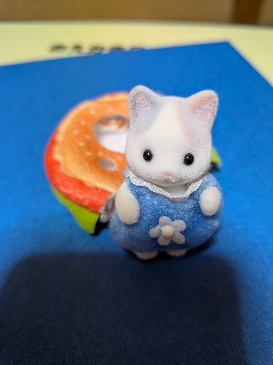 _bambi_rt's tweet photo. どうしても新しい赤子が欲しくてシルバニア屋さんに走る。
ランダム赤子を連れて帰ると猫の赤子が産まれた🐈️
家にあった服を着せてみたら可愛い過ぎ💕私はこれからこの子を大切に育てる🫶 https://t.co/hegEA9THXh