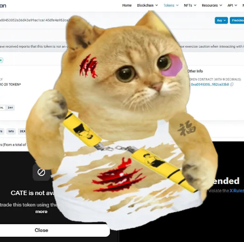 ethereumcate's tweet photo. You can't litigate a meme into existence.

And you can't litigate a community out of existence. 

$cate on ethereum https://t.co/W3ApijWlpZ