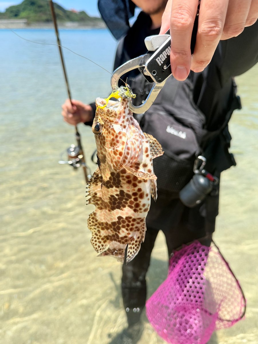 sdmmm's tweet photo. 家族で沖縄に行きました。カラフルだったり、変わった形だったり、いろんな魚が釣れて、まさにエンジョイフィッシングでした。 https://t.co/KHXja8KRB9