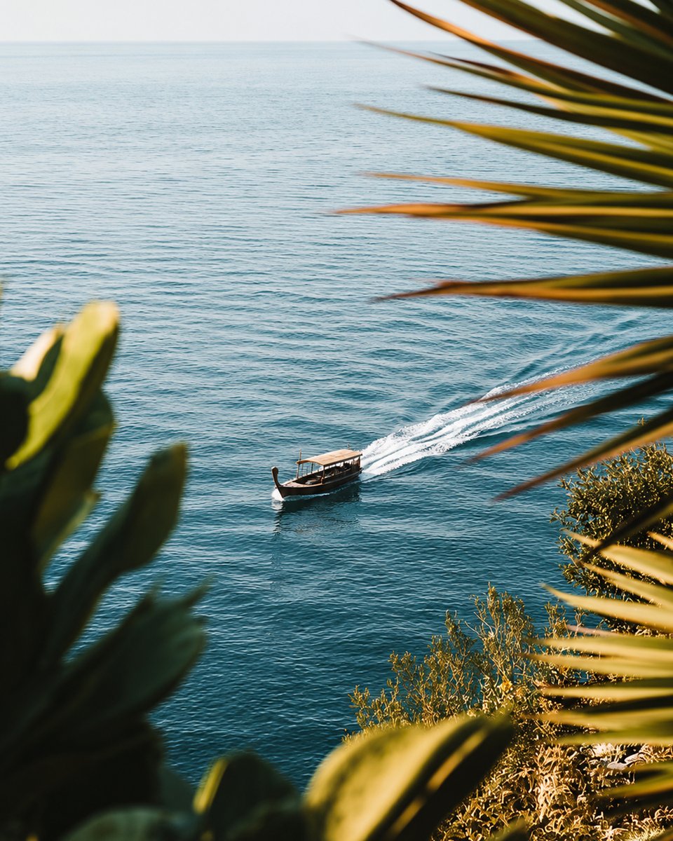 bangaramihcl's tweet photo. Catch your own dinner straight from the sea with our local experts. Sit back while our chef turns your prize into an unforgettable feast.

Link in bio. 

#SeleQtions #SeleQtionsHotels #NotJustAnotherHotel #BangaramIsland #ExperienceSeekers https://t.co/4kumEoYuVN