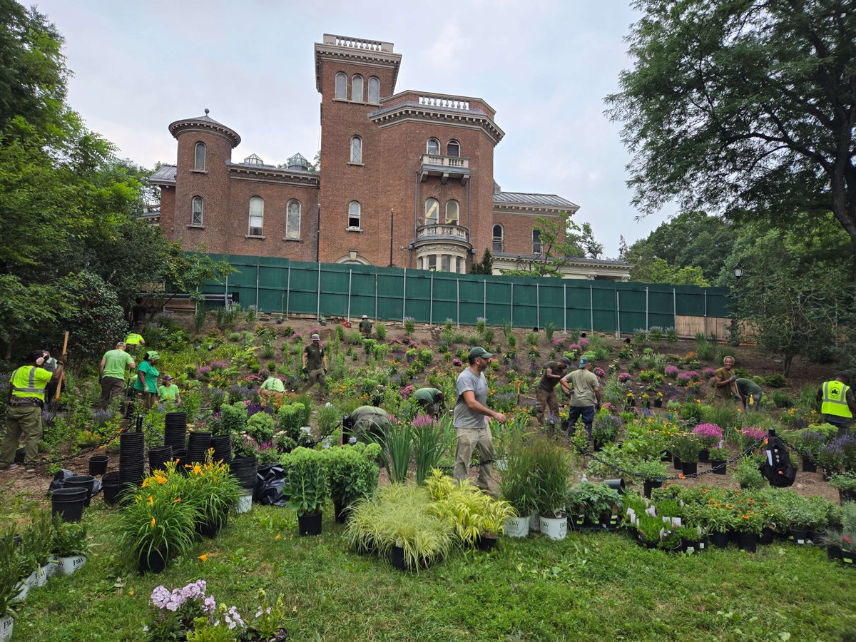 prospect_park's tweet photo. Carmen's Garden just got a major refresh! 🌿🌸 Thanks to Prospect Park Alliance staff and EcoZone volunteers, 3,429 new plants are thriving by Litchfield Villa. Designed with @nycparks, this garden features 50+ species for year-round color. Come see the blooms! https://t.co/tQmeCo8jHo