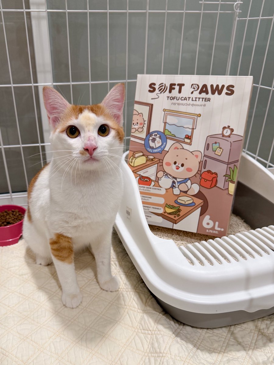 หนูนิดมีน้องเป็นโหล tweet media