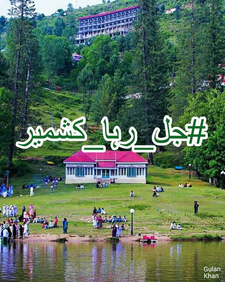 PTi2Z's tweet photo. No nation should suffer in isolation while the world looks away. Humanity must come before politics and power. #جل_رہا_کشمیر https://t.co/kslbOfpdUG