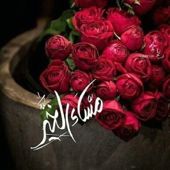 a2a1974a's tweet photo. @mariamalami11 مساء الخير لمن يحملون الحب في عيونهم قبل قلوبهم 
لمن يرسمون الأبتسامة في كل الوجوه
لمن ينقشون طيف ارواحهم في صدور العابرين 
لمن هم الدليل لطريق الحياة الجميلة
ثم مساء المحبة لأولئك الذين يجيدون الحديث عن شغفهم للحياة ونحن معهم
الذين يملكون إجابة واحدة على كل الأسئلة العالقة https://t.co/9SoPsSDa1X