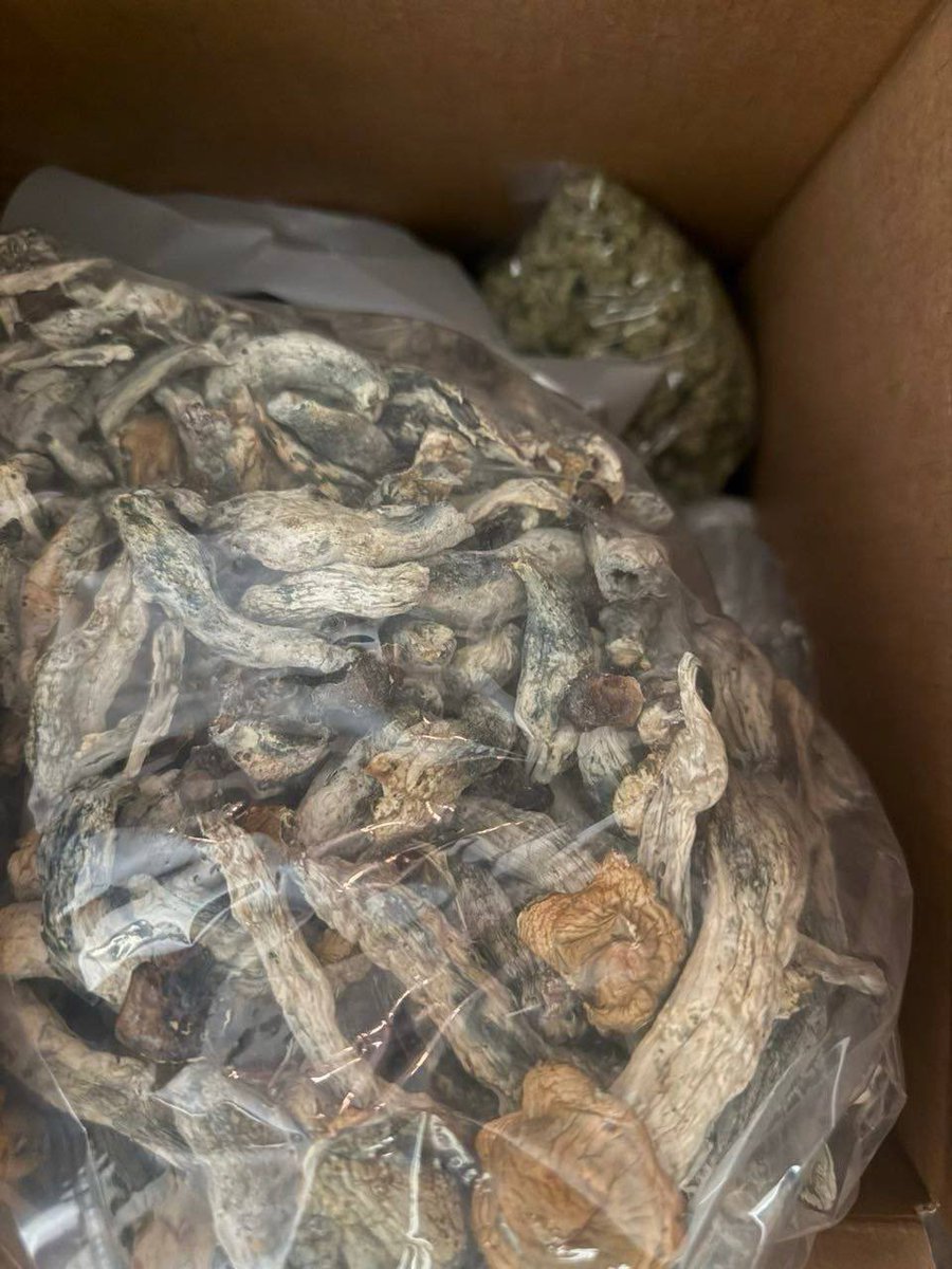 goodluck4ever's tweet photo. Get top-shelf exotic weed and premium buds, plus a wide range of weed vape, disposable carts, edibles, hash, rosins, and pre-rolls. Active plug available in" Tokyo, Osaka, Kyoto, Sapporo, Fukuoka, Nagoya, Yokohama, Kobe, Sendai, Niigata, Kanazawa, Hiroshima, Nara, Himeji https://t.co/mWZbcl2Mel