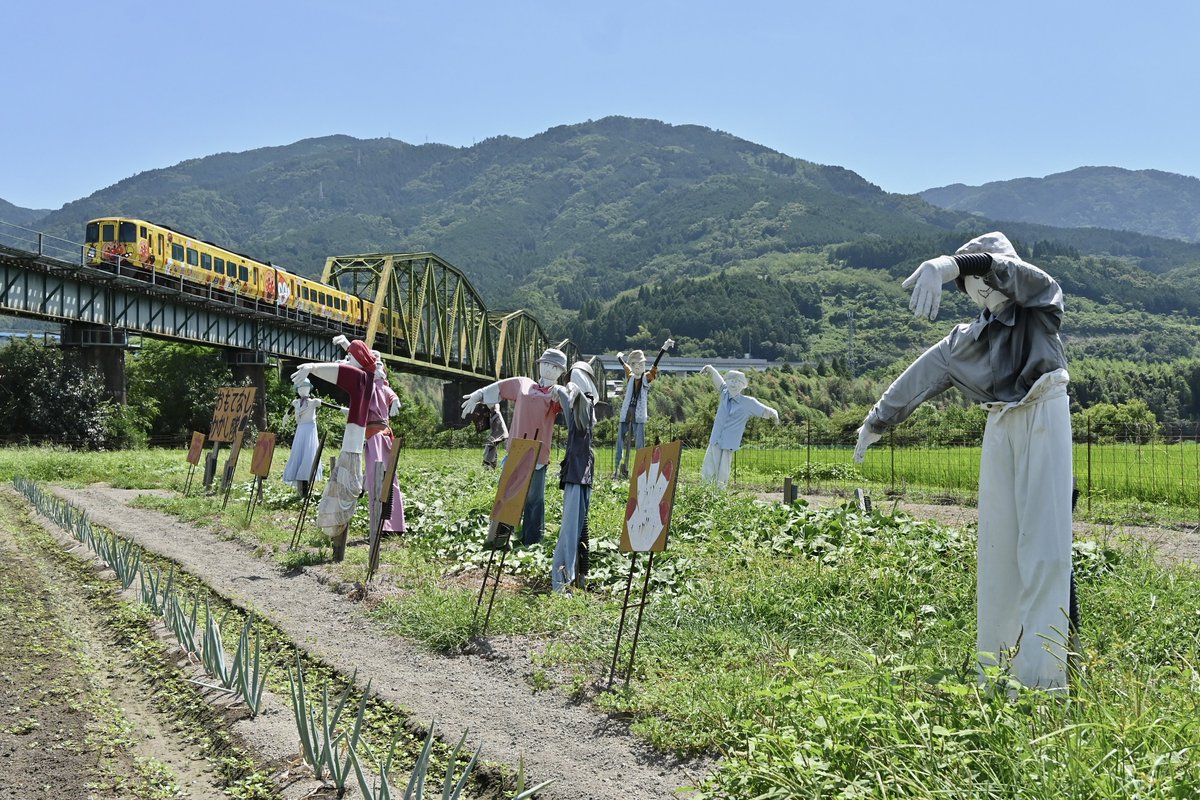 berusasu428's tweet photo. 7/30  44D
2700系 2704+2752+2804
特急 南風14号

みんなで黄色いアンパンマンをお見送り👋 https://t.co/gyYm5CfCFL