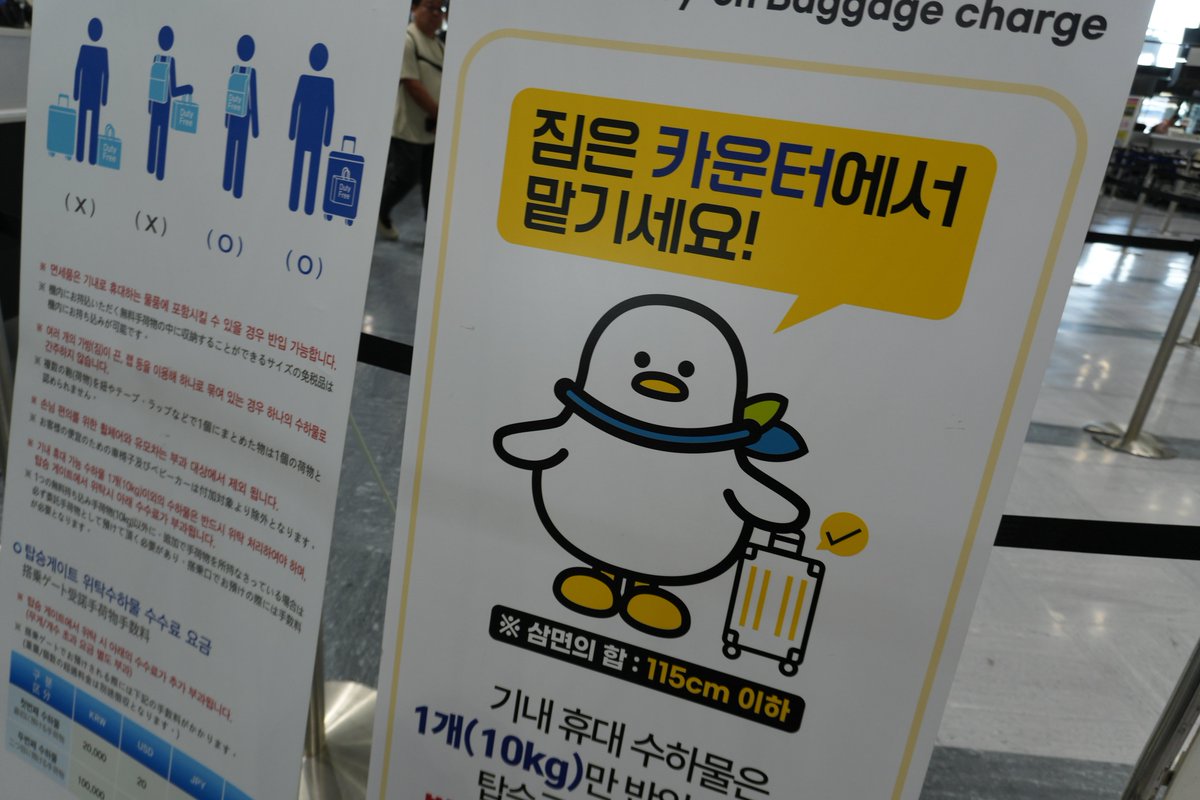 ztskdkr's tweet photo. アラサー社会人の韓国旅行は大忙し✌︎ᴖ ̫ᴖ✌︎

#日常垢 https://t.co/9kekgzUQt0