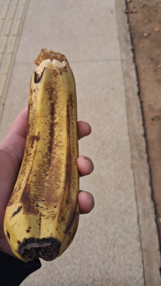 andremnog_'s tweet photo. banana dupla fi https://t.co/GwLJAIcDjp