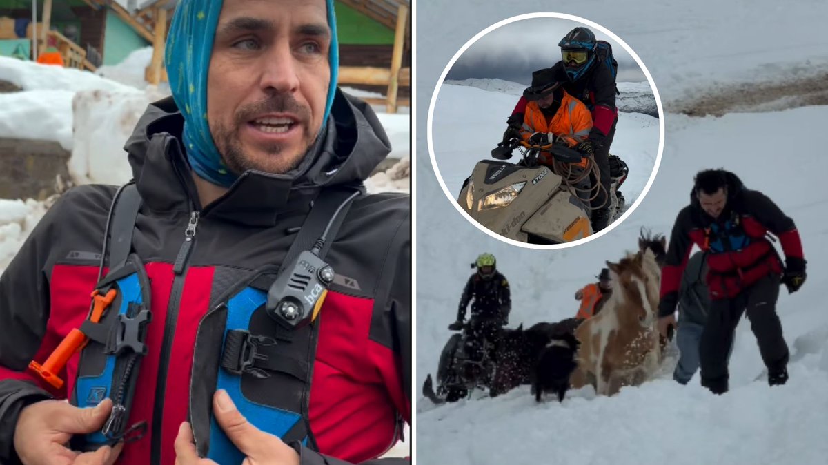 chvnoticias's tweet photo. Más de 10 días sin comida ni agua: Pangal Andrade rescató a 7 caballos atrapados en el Cajón del Maipo

Más detalles acá ➡️https://t.co/fRdXo26Uld https://t.co/J1QbX7e957