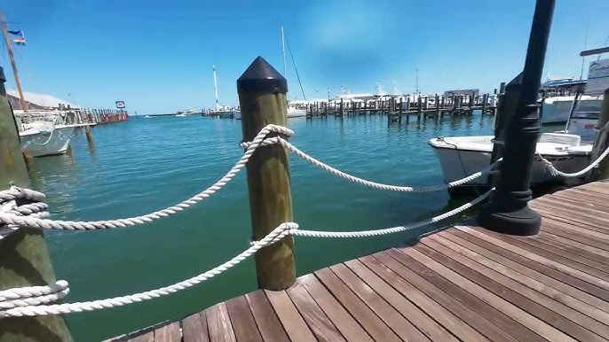 HistoricSeaport's tweet photo. Adventure starts here 🌊

Snorkeling, fishing, sailing - whatever your vibe, it all begins at the Key West #HistoricSeaport ⛵

What’s your next adventure? https://t.co/bW7Ce3WOeB