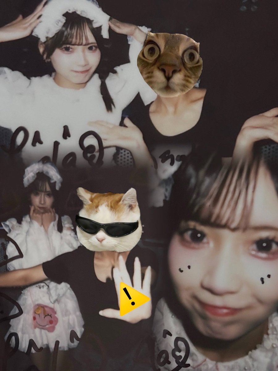 sc011hs's tweet photo. おれが守る⚠️
#れらにゃんの鈴の音 https://t.co/zXYhBKaTe1