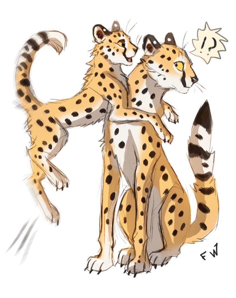 Flash W (open for commissions) tweet media