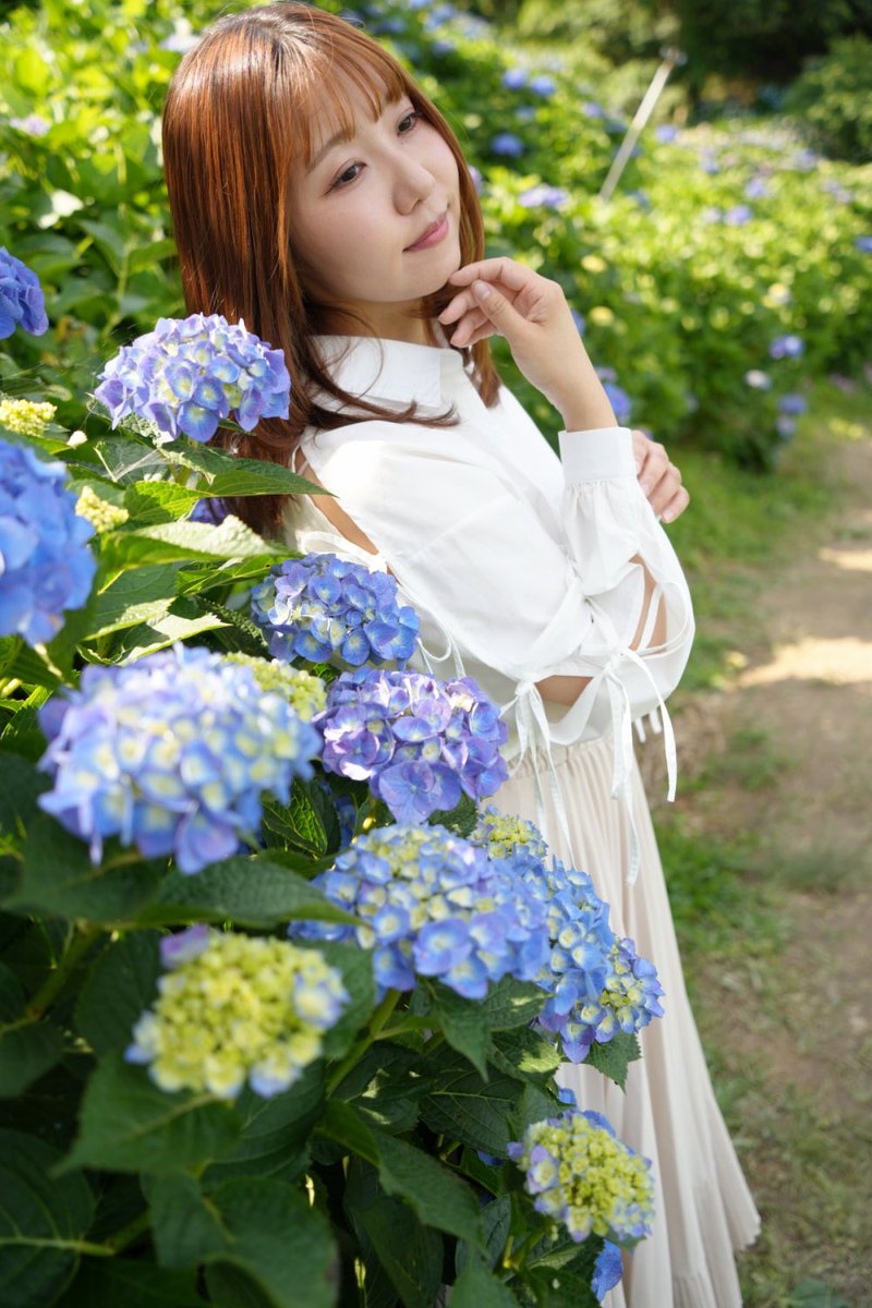ron_toriniku's tweet photo. 1枚目の紫陽花何の形かわかる？ https://t.co/YnThwX7DTE