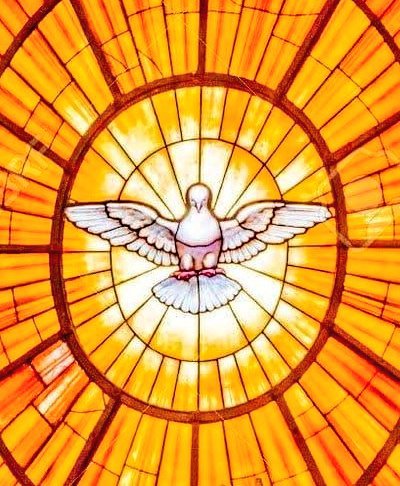 TarekSaidVzla's tweet photo. Espíritu Santo, entra en mi corazón.
Donde haya dureza, pon ternura;
donde haya orgullo, pon humildad;
donde haya miedo, pon confianza;
donde haya egoísmo, pon amor.
No permitas que me conforme con parecer bueno por fuera. Hazme nuevo por dentro, para que mis obras sean el fruto de un corazón transformado por Ti. 

Amén.

Padre Manuel Robles.