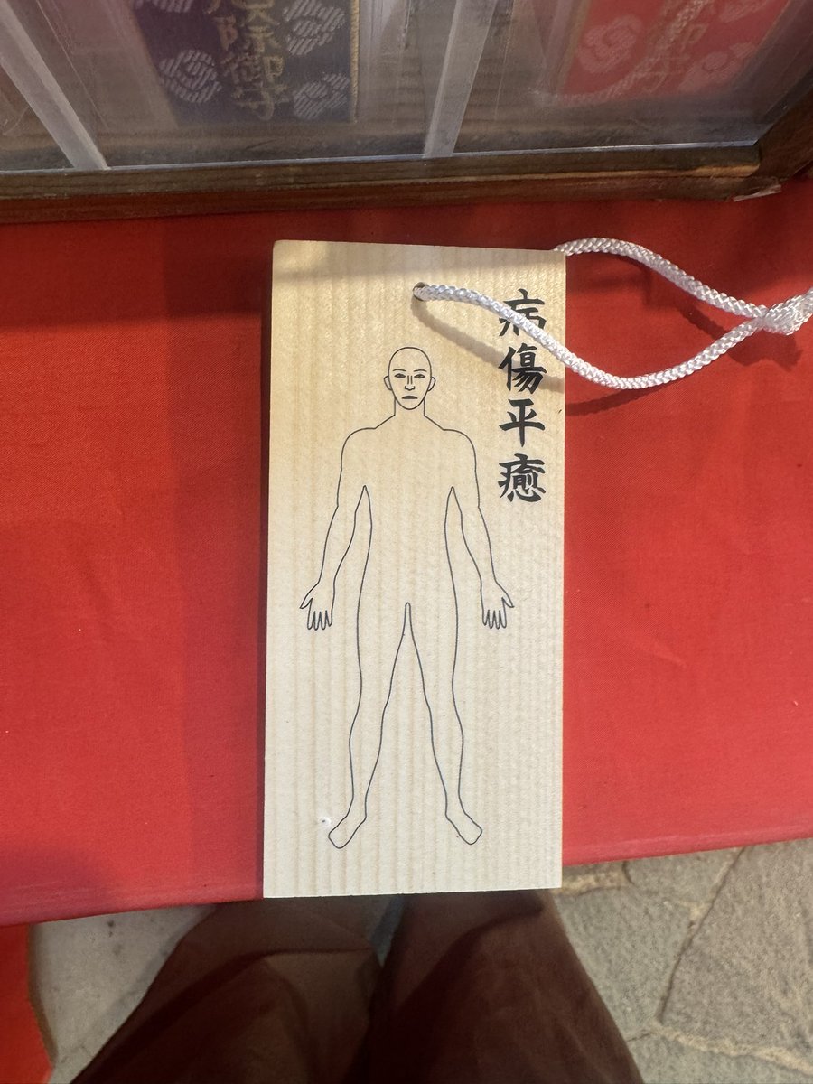 micchuruko's tweet photo. 怪我治癒と安産祈願で平塚八幡宮⛩️へ

神馬の皐月と東風が近くまできてくれました。
常連さんが2頭が近寄ってくるなんて珍しいそうです。

応援しているじゅんじろーとこむぎパパ🏇が足の怪我をされて、早く治って復帰される祈願をしてきました🙏🏻 https://t.co/gwUCvbGQCy