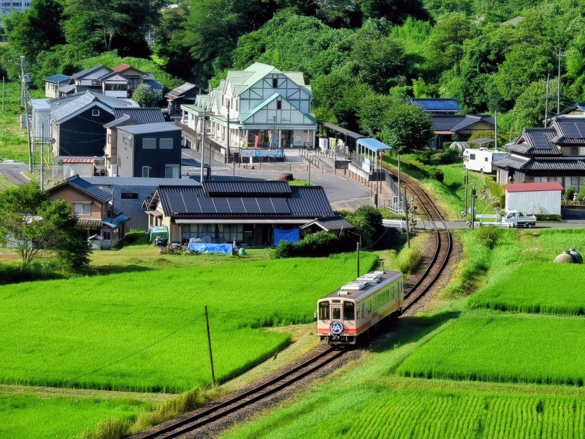 hrmc2016i8's tweet photo. 明知鉄道
撮影日：2026年7月29日
撮影場所：岐阜県恵那市��智町·山岡町
カメラ：Nikonz6ii
#明知鉄道 #列車の旅 https://t.co/vPuj3Lz2CR