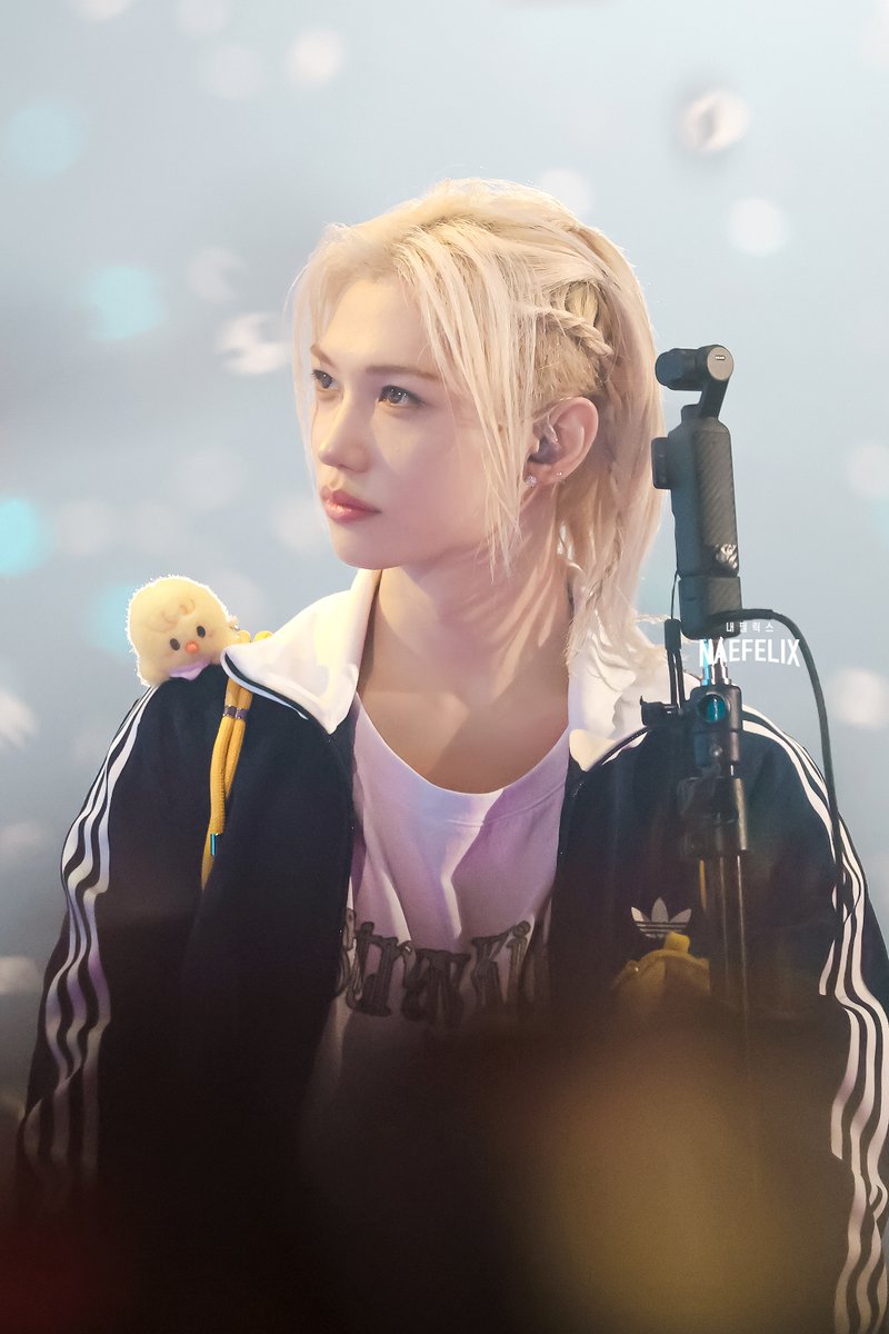 NAE_FELIX's tweet photo. ✔️260729 Stray Kids World Tour <RUN IT SEOUL> 

🐣🐤✨

#straykids #스트레이키즈 #felix #필릭스 #yongbok #용복 #NAEFELIX #내필릭스 https://t.co/rHM1hUyGR6