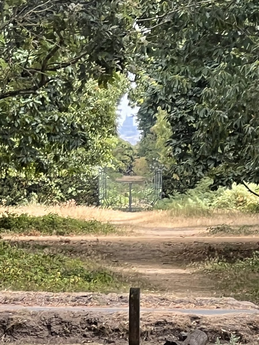 TiCLme's tweet photo. @theopenbook2 @BBCTomEdwards @WandleForum @SuttonCouncil @StPaulsLondon @engcathedrals @CPRELondon @LondonNPC @Londonist @LDN_environment @walks_camera @biztradegovuk @BBCLondonNews Yes indeed! The long view of St Paul’s from Henry’s Mound in Richmond Park @theroyalparks @FRPTweets @richmondsociety is directly protected by The London Plan @LDN_environment
It’s an amazing view through the trees … but ‘only’ 15.6 Km (10 miles)
#TiCLView https://t.co/wxHVVvRNuu