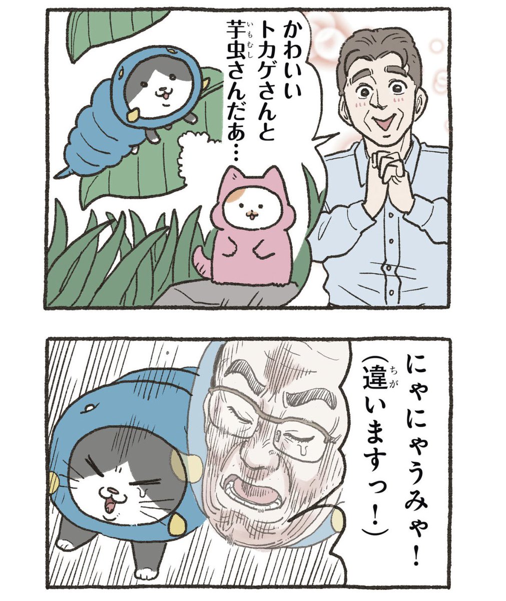 yajima_en's tweet photo. 2/2 https://t.co/VUzJSEVACH