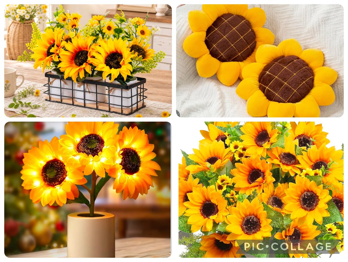 dfteach's tweet photo. Instead of totally changing my decor this year, I decided to just add sunflowers. Can you help me brighten up my room? 

https://t.co/6PR3O9UlUe

#clearthelist #specialeducation #newschool #newclassroom #Year25 #Texas https://t.co/SJi1OGBS4e