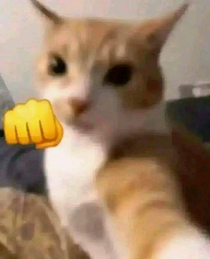 RuvIsabella's tweet photo. Como me choca la gente que ve videos en su celular a todo volumen en espacios públicos… BRO ACABO DE ATERRIZAR Y COMO TRES CELULARES A TODO VOLUMEN VIENDO VIDEOS 😭 https://t.co/fpmaTFsG8O