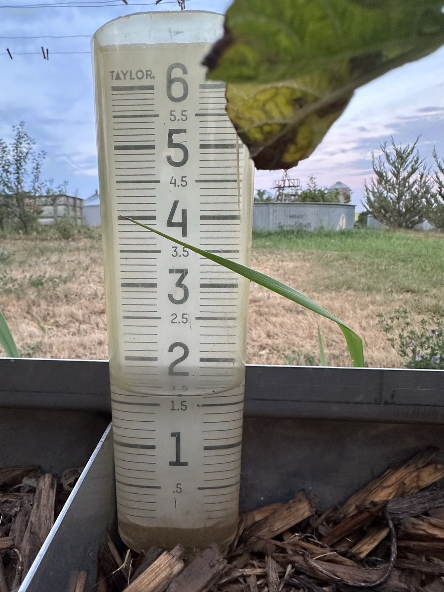 wordsbywilliam2's tweet photo. God is good. 
SW ND is an arid place. We’re accustomed to it being dry, and periods of drought are a part of the bargain living here. This summer has been particularly severe for its sustained high heat and lack of moisture. But-rain finally came! https://t.co/ArYPfiay71