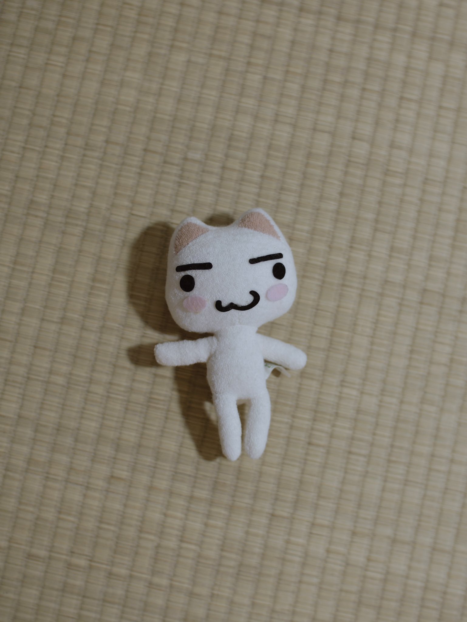 犬川家子 (@llnuit) / X