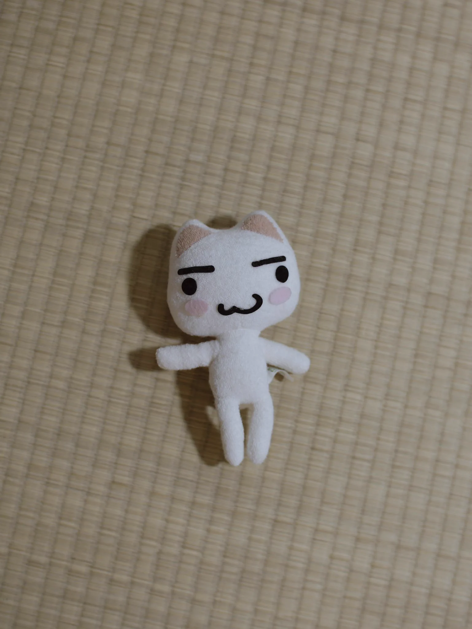 犬川家子 (@llnuit) / X