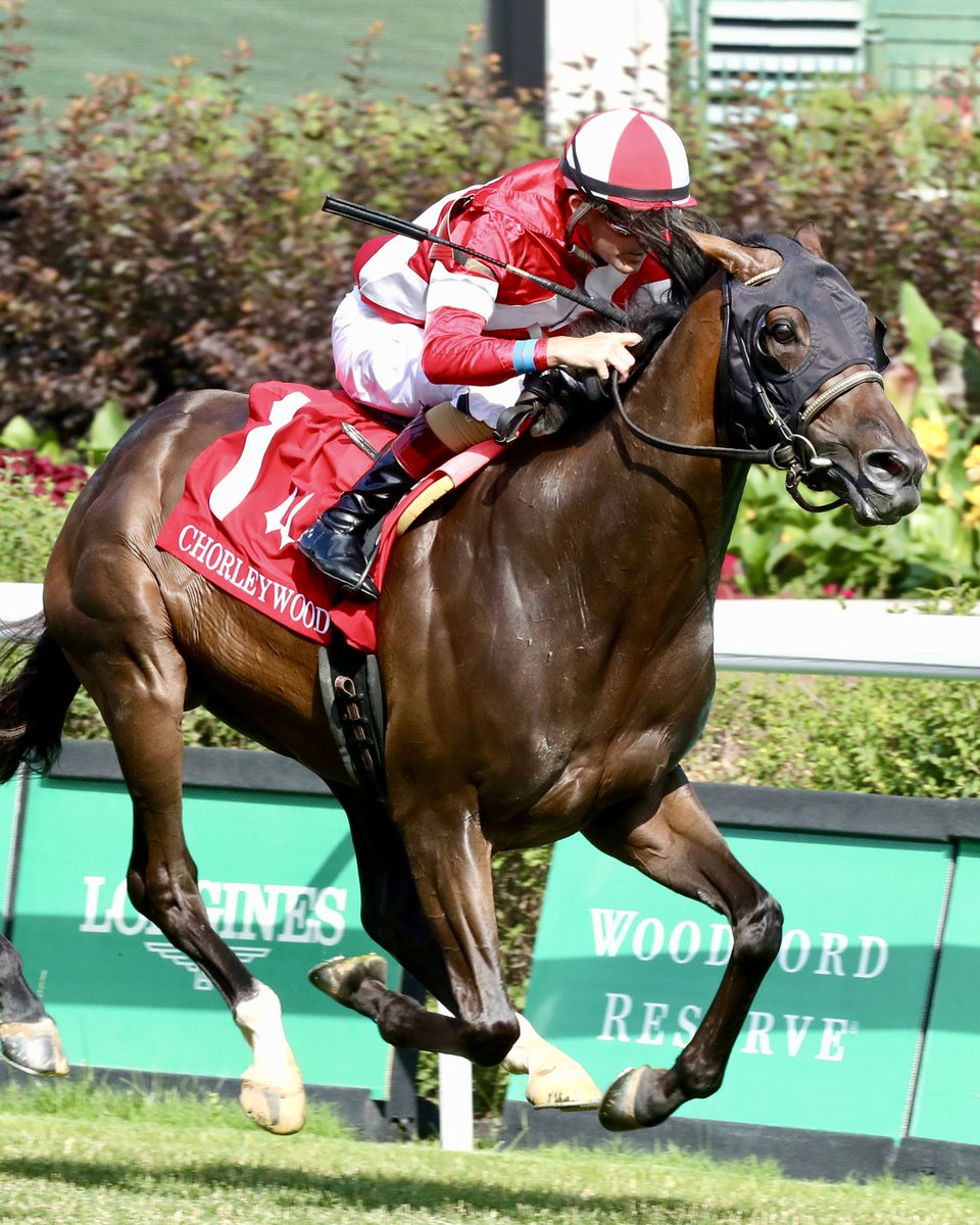 ChurchillDowns's tweet photo. Burnham Square returns this Saturday for the Arlington Million at Colonial Downs.

The sixth-place finisher in the 151st Kentucky Derby put together an impressive spring at Churchill Downs, capturing both the Louisville Stakes and the Chorleywood Stakes. He'll look to add another graded stakes victory in Saturday's feature.