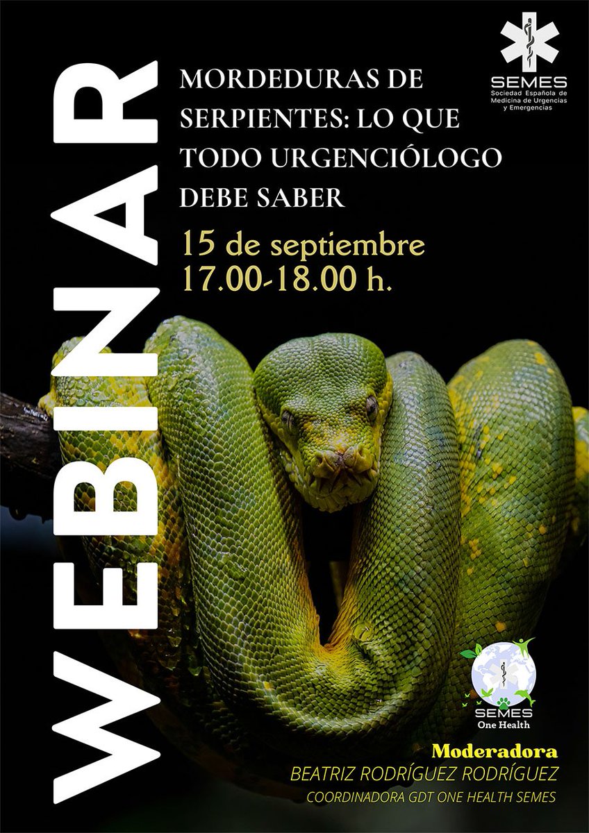 SEMES_'s tweet photo. 📚📚Este 15 de septiembre comenzamos el nuevo año escolar con formación📚📚 

💻Webinar de @OneHealthSEMES 

🐍Mordeduras de serpientes: lo que todo urgenciólogo debe saber 🐍 

Regístrate en: https://t.co/ndAvBNfNPz https://t.co/L7u39nPo0O