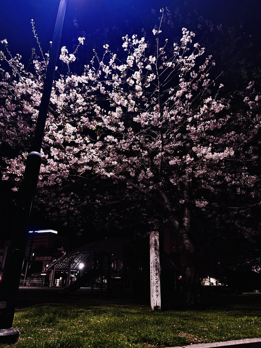 Aarrus_2004's tweet photo. 高いカメラなくてもスマホでいい景色撮れる https://t.co/YYYLczXJMJ
