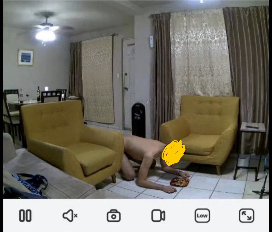 MasterLexG's tweet photo. Cameras are on 24/7 throughout the house, making sure my fag doesn’t use the furniture and eats from the floor.
#gaysub #findom #dom https://t.co/RDZQ1EEKii