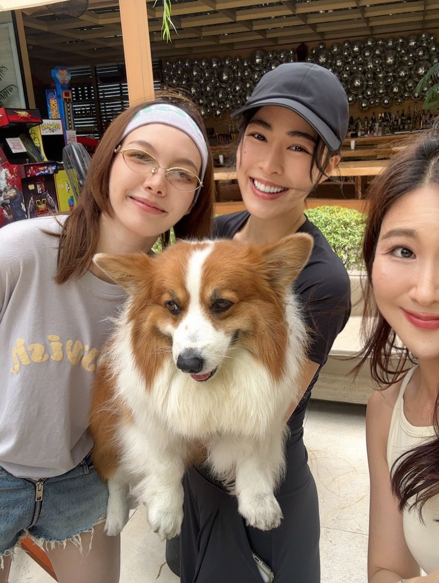 Wyvern_801's tweet photo. ถ้าเป็นแต่ก่อน เห็นสเก็ตก้างปลาแบบนี้ จะฟังหูไว้หูตลอด(หนักไปทางตีเก๊) จนกระทั่งอภินิหารอุ้มหมาได้อุบัติขึ้น หลังจากนั้นกุก็เริ่มสมองไหล ทุกอย่างเป็นไปได้

ปล. (มึง…เค้าจับมือกันทำไมวะ? สำหรับกุ ทำแบบนี้มันไม่ปกตินะเว้ย มันจะเหมือนสิ่งนั้นมากเลยนะ…😣🫵) https://t.co/obVGrYkQiC