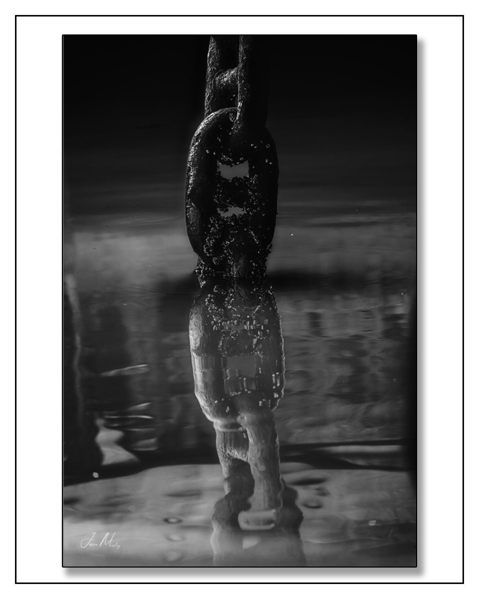 JasonMosleyPho1's tweet photo. Steel meets stillness. Tow bridle hanging off a barge quiet in the Port of Seattle. https://t.co/hVW4FDfHiA