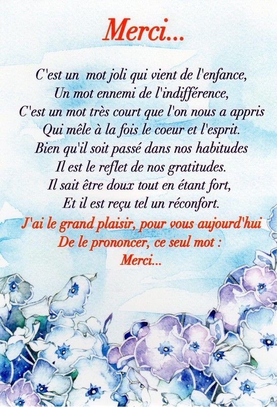 Fleurdeneige5's tweet photo. @giulia_nstr Bien à vous Loup….😘😊🫶🏼🐴🐎🏇 https://t.co/mwQOtSkwZ0