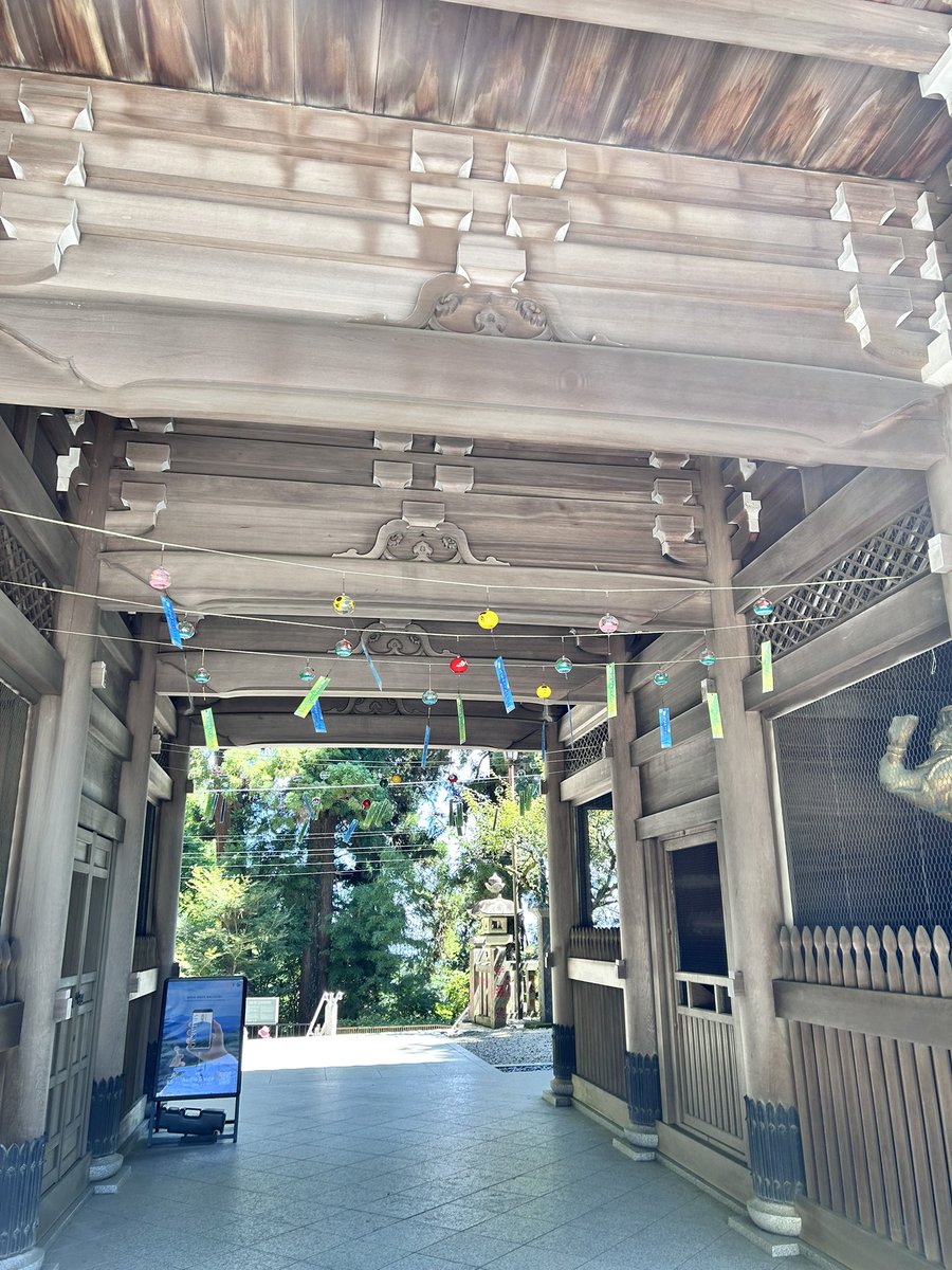 cyza18's tweet photo. 暑くて7月は数回しか行けなかった高尾山

薬王院では江戸風鈴、ハスの花やヤマユリ、ダイコンソウも綺麗に咲いた

「これぞ山の夏！」って感じだな https://t.co/d3GWnbS0jh