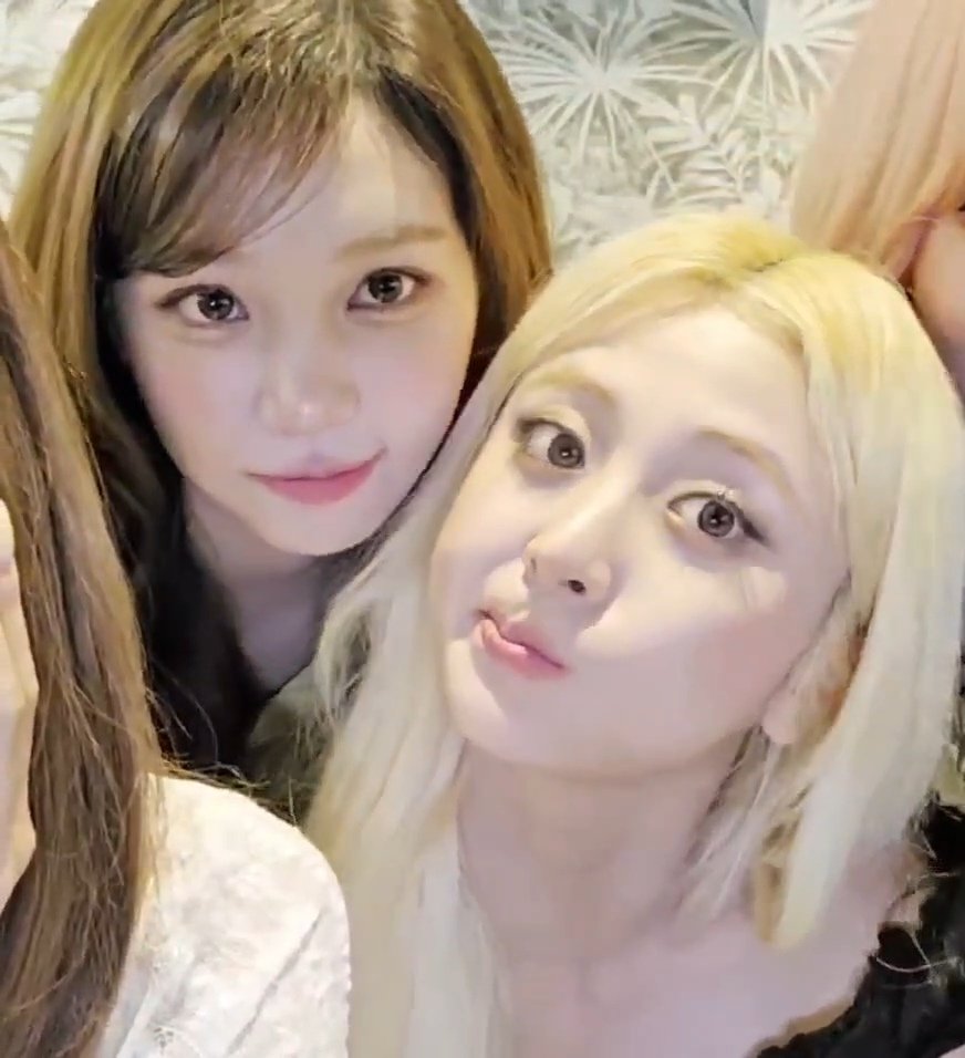 plumfigsorbet's tweet photo. ^________^ https://t.co/ogaeNVD8XH