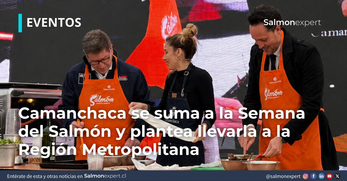 salmonexpert's tweet photo. Camanchaca participó en la Semana del Salmón y propuso extender esta iniciativa a la Región Metropolitana, con el objetivo de acercar el salmón chileno a más consumidores y fortalecer el vínculo entre la industria y la comunidad. 
https://t.co/LYaWLOaleu https://t.co/h6wWOx7XUL