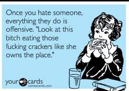 JuneAtRest's tweet photo. @nyarandrujo @DomainDead It means you hate someone so much that you'll even dislike them for something as banal as eating crackers https://t.co/NMqwTzPNjP
