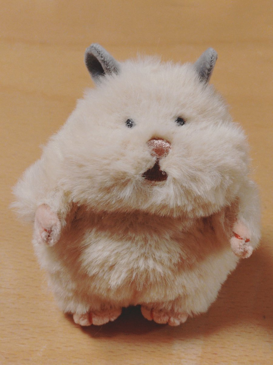 applej326's tweet photo. #はむにぎり https://t.co/r4VxJwA5RV