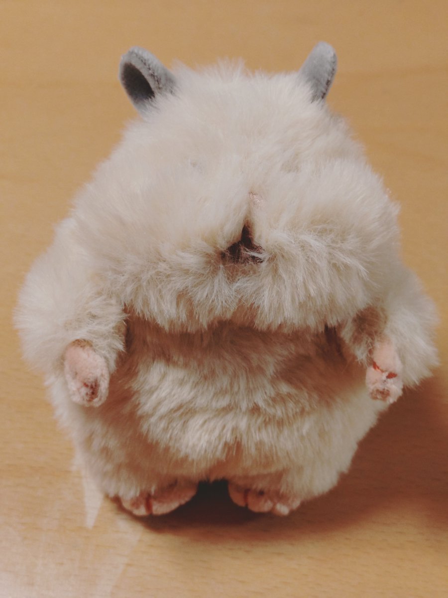 applej326's tweet photo. #はむにぎり https://t.co/r4VxJwA5RV