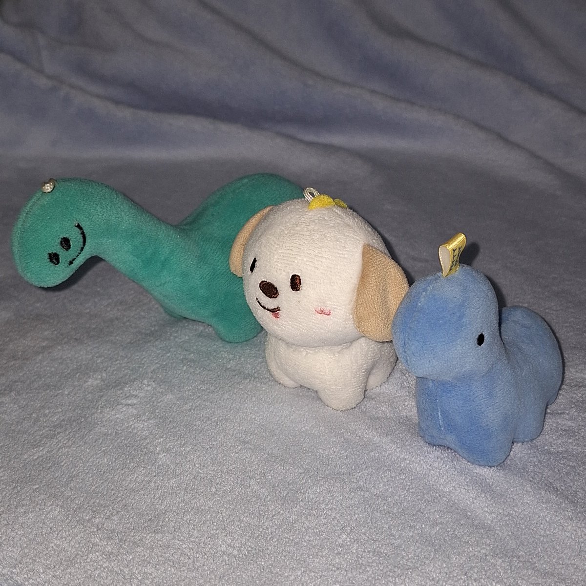 d_mywinter's tweet photo. 🦖🐶🦕 https://t.co/hjpUdGe6mM