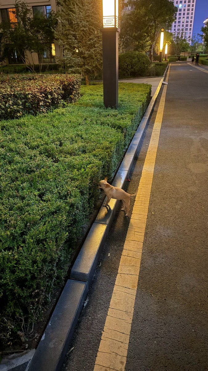 WuliBling's tweet photo. 性格吉差 https://t.co/1AJkeS17jf