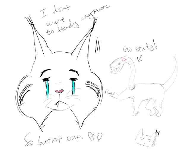 KUNTER_VERSACHE's tweet photo. I just want to rest...but i cant💔 (1st exam next week, 2 exams the week after...and then pathology exam at the end of august im going to cry pathology is the worst module through and through) https://t.co/fKnNxdJg9y